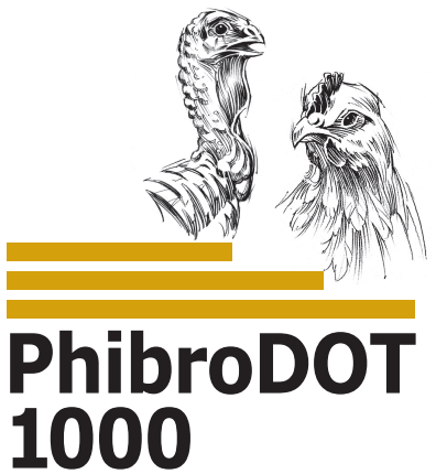 PhibroDOT